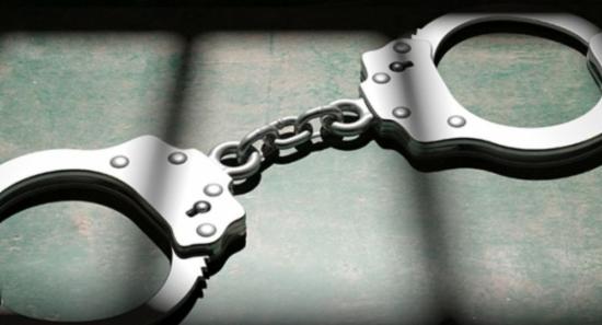 Sri Lankan Man Arrested Over Japan Import Fraud
